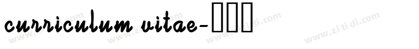 curriculum vitae字体转换
